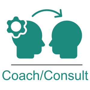 Coach or Consult with you to implement recommendations