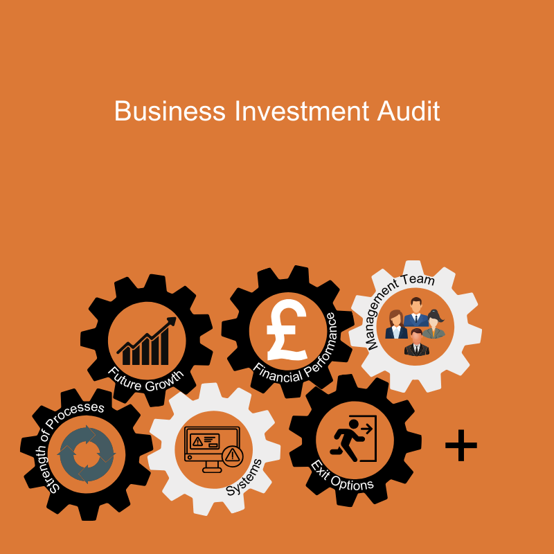 Business Investment Audit