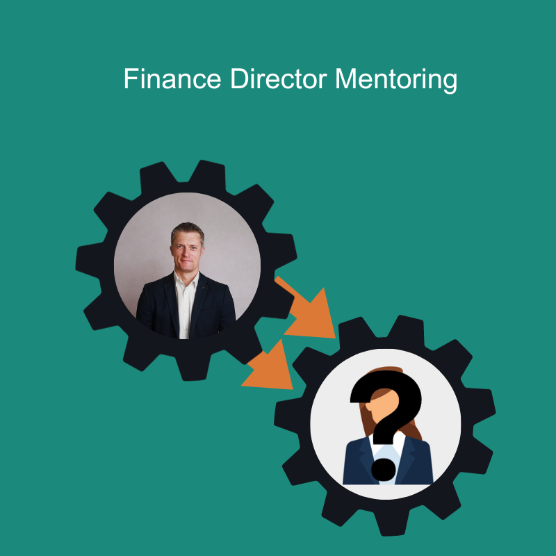Finance Director Mentoring